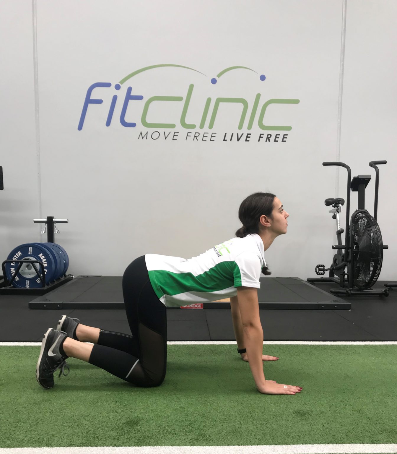 Part 1: 6 Mobility Exercises for Lower Back Pain | Rehabilitation Training