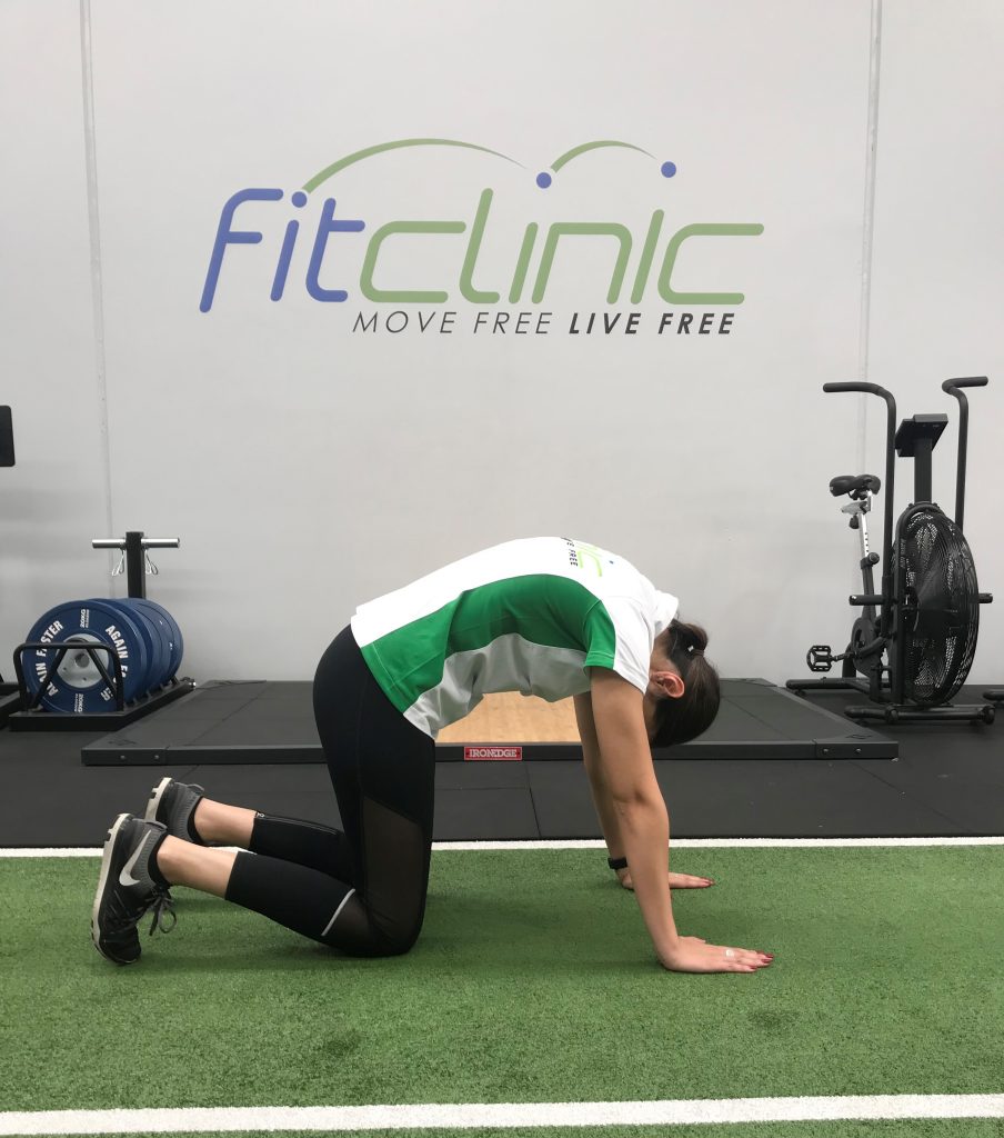 Part 1: 6 Mobility Exercises for Lower Back Pain
