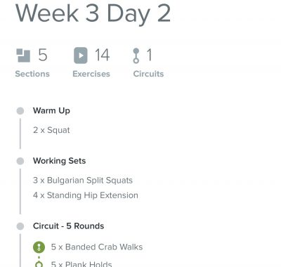 Fit Clinic | Sydney Gym | Train In Your Home | Online Fitness Training | Live Training Sessions